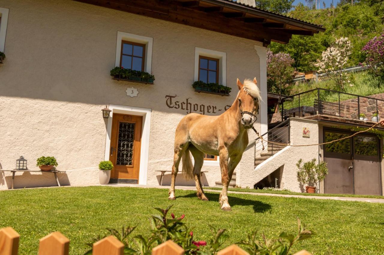 Chalet Tschogerhof Tiers Am Rosengarten Dolomiten Exteriör bild