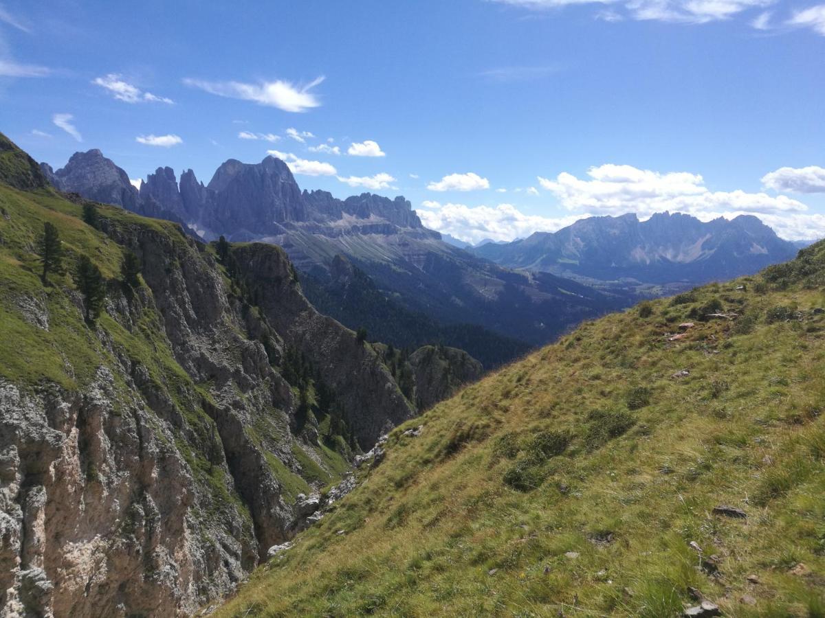 Chalet Tschogerhof Tiers Am Rosengarten Dolomiten Exteriör bild