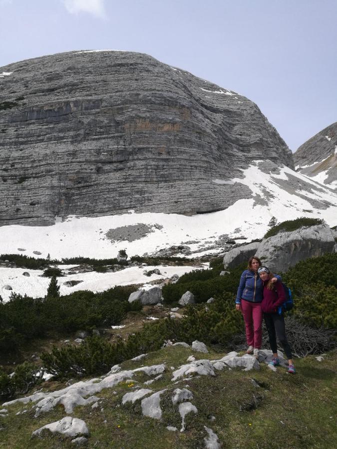 Chalet Tschogerhof Tiers Am Rosengarten Dolomiten Exteriör bild